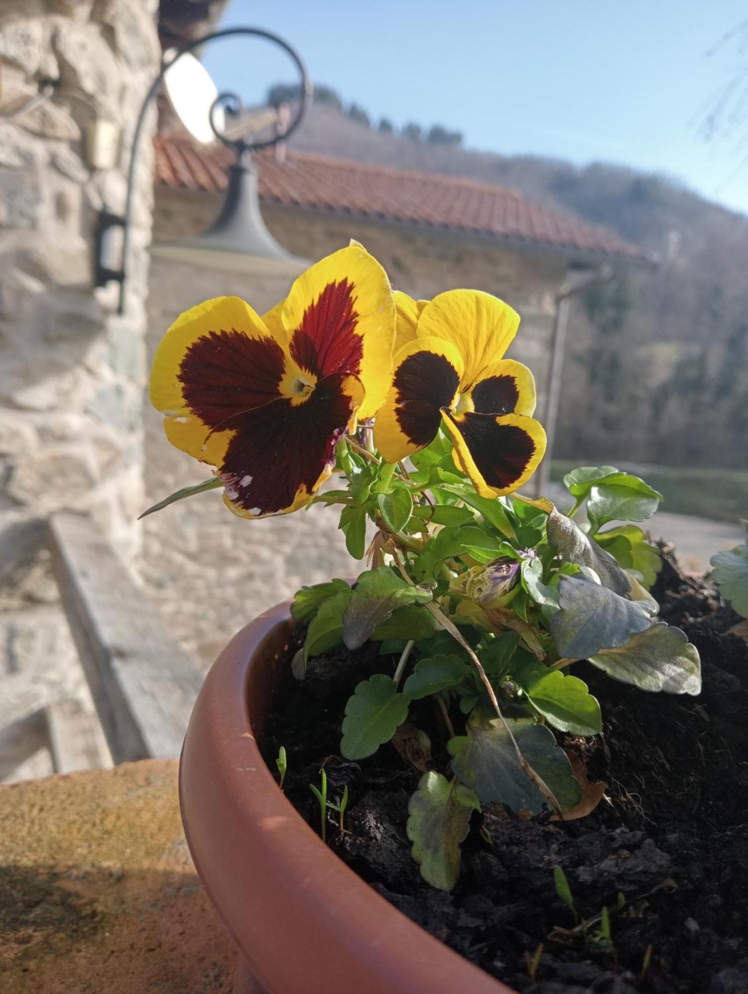 Le Macine Villa Magnano  Bagian luar foto